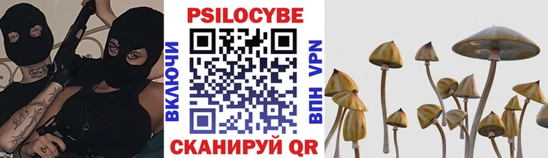 MEGA ссылки хочу Сортавала Псилоцибиновые грибы мицелий